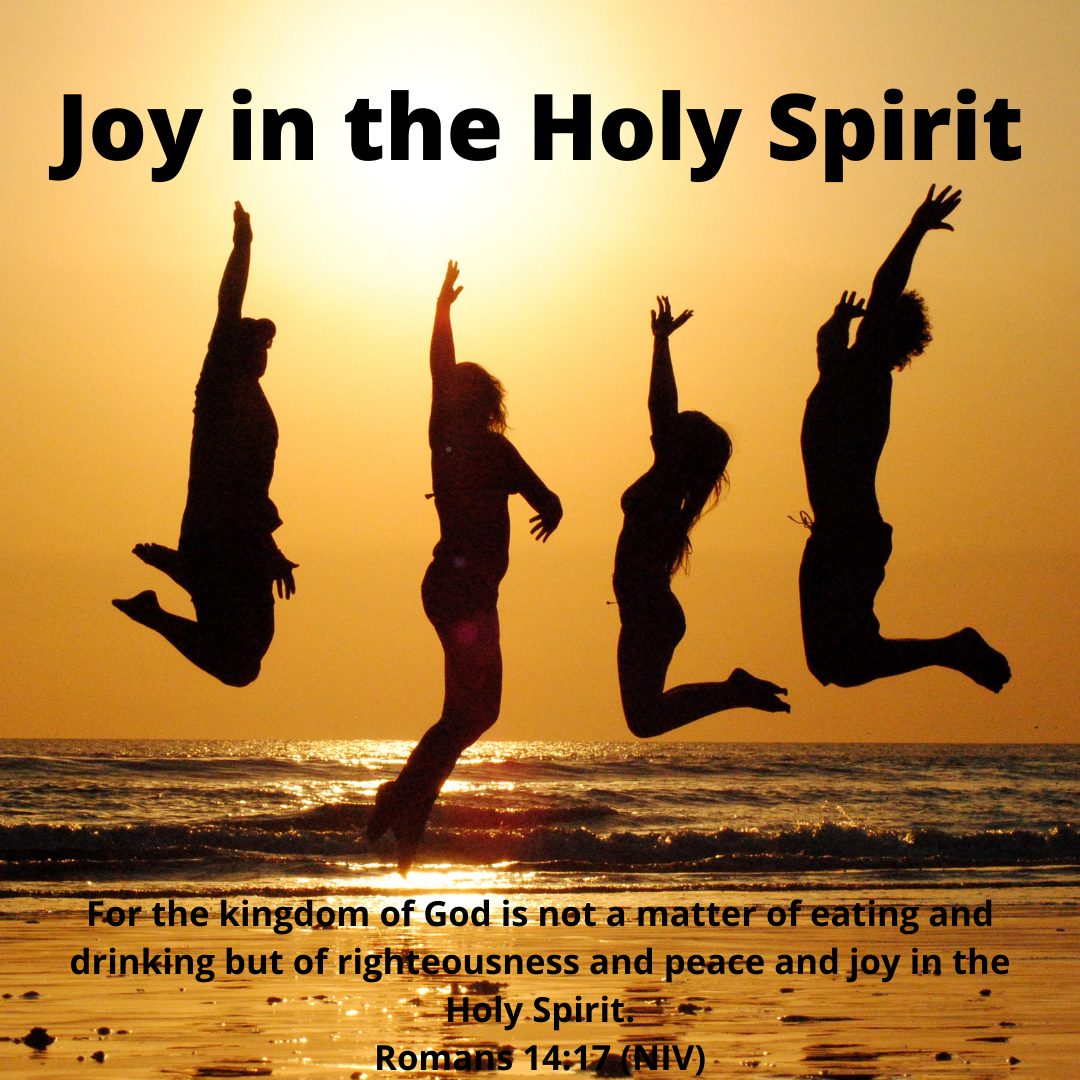 Joy In The Holy Spirit Rooted Built Established